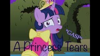 (4) A PRINCESS’ TEARS (Part 1) [AN MLP COMIC DUB] (Canterlot comic)