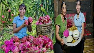 Harvesting red dragon fruit to sell at the market - Cooking - A simple, happy meal with mother