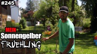 Mein "Sonnengelber Frühling" - Ein Hochbeet für Umer (DIY aus Abfallholz)