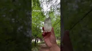 Nature in a Crystal view!