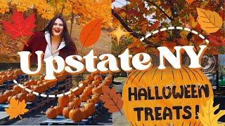 ️ Cozy Fall Vlog  : Trip to Upstate New York,  Saugerties, Diamond Mills Resort in Autumn 