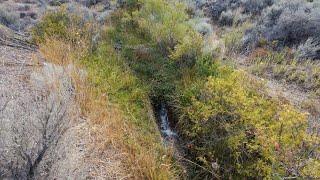 Hidden Desert Spring Creates MASSIVE Water Flow in Middle of Nowhere!