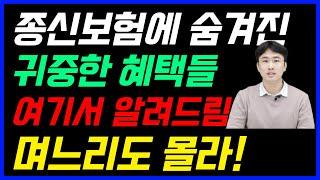 종신보험의 숨겨진 엄청난 좋은 혜택! 이 좋은 혜택을 설계사들도 몰랐어요~