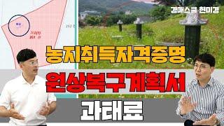 원상복구계획서 없으면 농취증 발급 불가!! 원상복구 기한에 원상복구가 안되면?? 과태료 내야 하나요? 농지처분명령으로 토지를 팔아야 하나요?