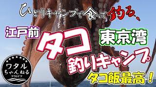 【ひとりキャンプで食って釣る】東京湾タコ釣りキャンプ