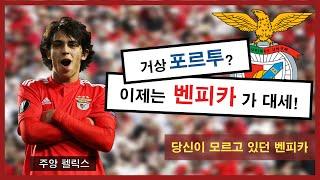 [EP1] '축구계 최고 거상' 벤피카의 모든 것 (TMI 축구 보고서) [5 Interesting Benfica Facts]