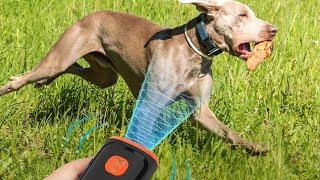 Dog Repeller || Watch how it Works ||