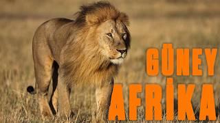 SOUTH AFRICA'S WILD NATURE | Full Episode Documentary