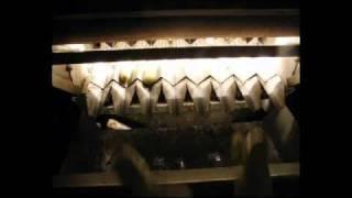 INFRUITS & EVK Potato sorting machine - Sugar End Remover