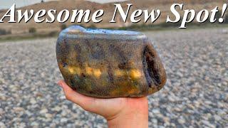 Agates, Petrified Wood, & The Northern Lights! Rock Hunting a New Honey Hole on the Yellowstone!