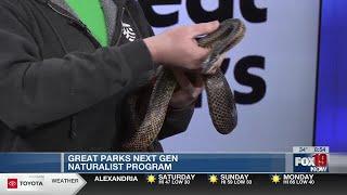 Tom Hughes with Great Parks of Hamilton County showcases Bellatrix the snake