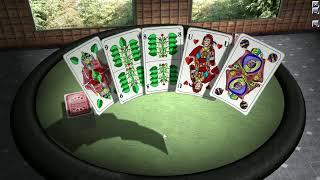 Classic Card Games 3D - the most immersive and beautifully rendered classic card games on PC