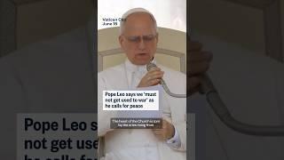 Pope Leo says we 'must not get used to war' as he calls for peace