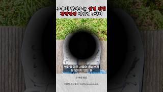 사물의 중심이 보이지 않는다면 의심해 보세요. 조용히 찾아오는 실명 위험! 황반변성 예방법 #건강정보 #건강 #건강지식 #황반변성 #안구건강