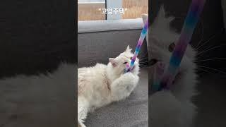 김포“고영주택”