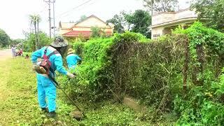 Brave Cleaning Team Caught a Giant 10m long & Weighing 100 Pound Python in the Bushes| Clean Up Free