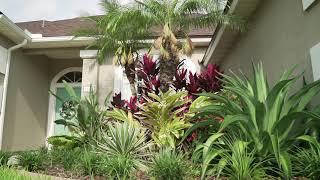 North Florida Tropical Landscape Design installed in Jacksonville Florida. Curb Appeal Boost!