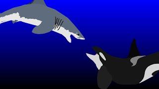 killer whale vs great white(sticknodes)