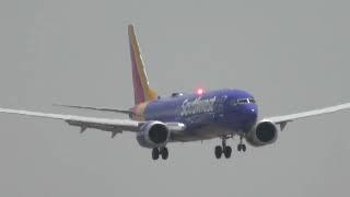 80 MINUTES MEMBERS ONLY PLANE SPOTTING LAX LIVE STREAM