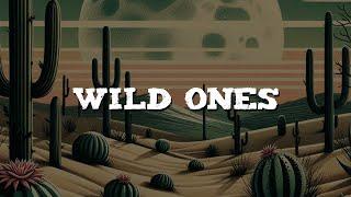 Jessie Murph, Jelly Roll - Wild Ones (Lyrics)