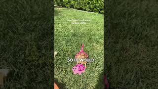 Just turned him into bait