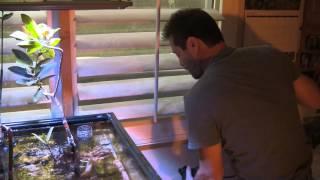 A Bigger Refugium, LA Fishguys Episode 143 pt 1