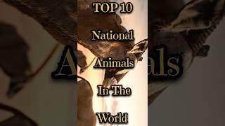 Top 10 National Animals In The World #scroll #youtubeshorts #like #facts #world