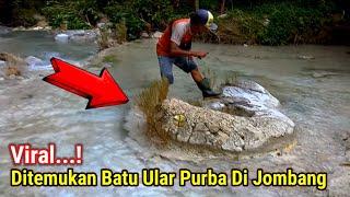 Viral..! Muncul Fenomena Batu Ular Yang Lagi Viral Di Jombang