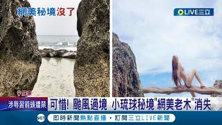 大雨毀秘境！小琉球秘境"網美老木.海龜石"消失 沙灘流失堤坊.高度落差大.鋼筋裸露 居民跟遊客都直呼可惜│記者 朱俊傑 吳繢杉│【LIVE大現場】20230811│三立新聞台