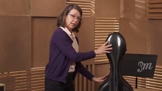 Picking Out Your Cello - Lesson 3 : Types Of Cases