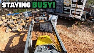 My Small Junk Removal Business Stays Rolling In Cash! + Firewood Business Update..
