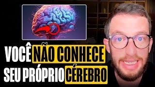 NEUROCIENTISTA EXPLICA O CÉREBRO HUMANO