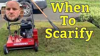 How To Scarify Your Lawn, A Beginners Guide.