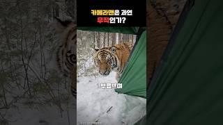 카메라맨은 과연 무적인가