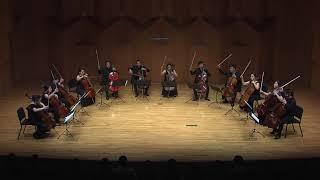 Cellista Cello Ensemble (Korean top 12 cellists) Tchaikovsky 'Swan Lake' Suite