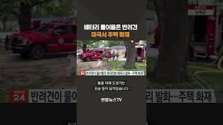 배터리 물어뜯은 반려견...미국서 주택 화재 #shorts / 연합뉴스TV (YonhapnewsTV)
