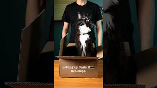 Unboxing Oasis Mini: The Ultimate Kinetic Sand Art Experience! ️