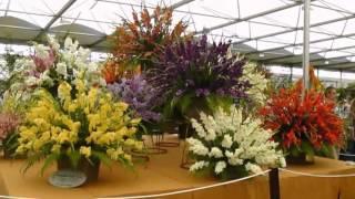 Презентация с Chelsea Flower Show 2012