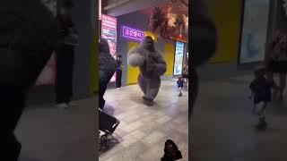 Dancing Gorilla