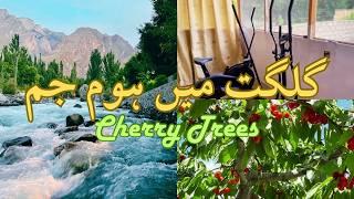 Gilgit mei Home Gym | Cherries | Baseen Nala | Trout Fish