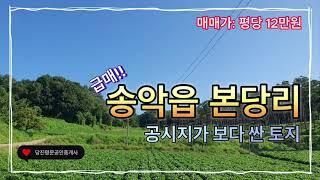 [급매][매물번호:0342]당진 땅매매당진시 송악읍 본당리 공시지가 보다 싼 토지 ,현재 콩밭농사짓고있음 / 2,024평(6,690m2) / 매매가 평당12만원