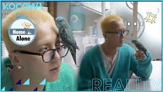 Introducing MINO's cute parrot, Chipi! l Home Alone Ep 431 [ENG SUB]