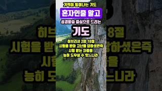 혼자인줄 알고 | 기적이 일어나는 기도 | #말씀조은tv #조현상목사 #목양교회 #성경암송 #큐티 #1분말씀묵상 #기도 #기도문