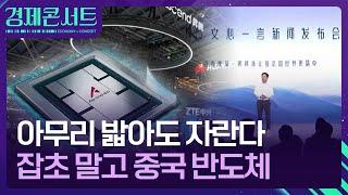 아무리 밟아도 자란다…잡초 말고 중국 반도체 [경제콘서트] / KBS  2024.10.02.