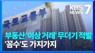 부동산 이상 거래 무더기 적발…사례 살펴보니 '꼼수'도 가지가지 / KBS  2024.08.13.