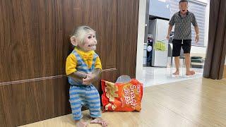 Cubis Monkey Steals Food, Making Dad Angry!
