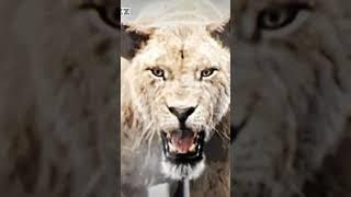 mullah yaqoob ibn umar #whatsapp #status #shorts #viral #youtube  #video