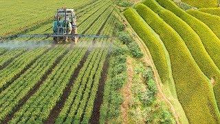 Other Countries Are Using China's Super High Tech Agriculture System