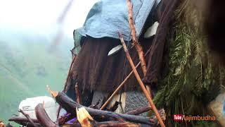 Heavy storm in himalayan sheep farm || Nepal || lajimbudha ||