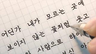 멍 때리고 보기 좋은 글씨 영상 / 좋은 시 쓰기 / handwriting [ddoddan]